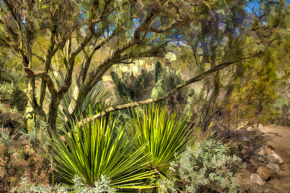 IMG_5835_HDR-Edit