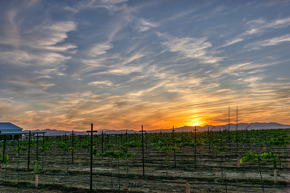 _J1A5182-Edit-Edit-Edit