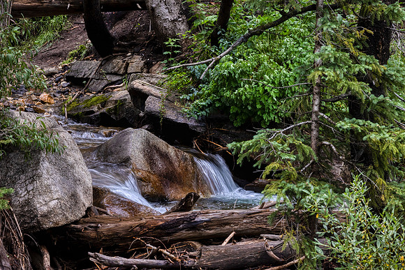 _J1A5466-Edit-Edit
