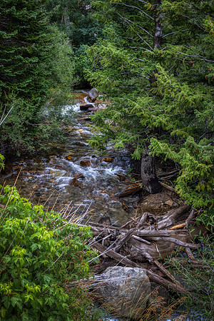 _J1A5493-Edit-Edit-Edit